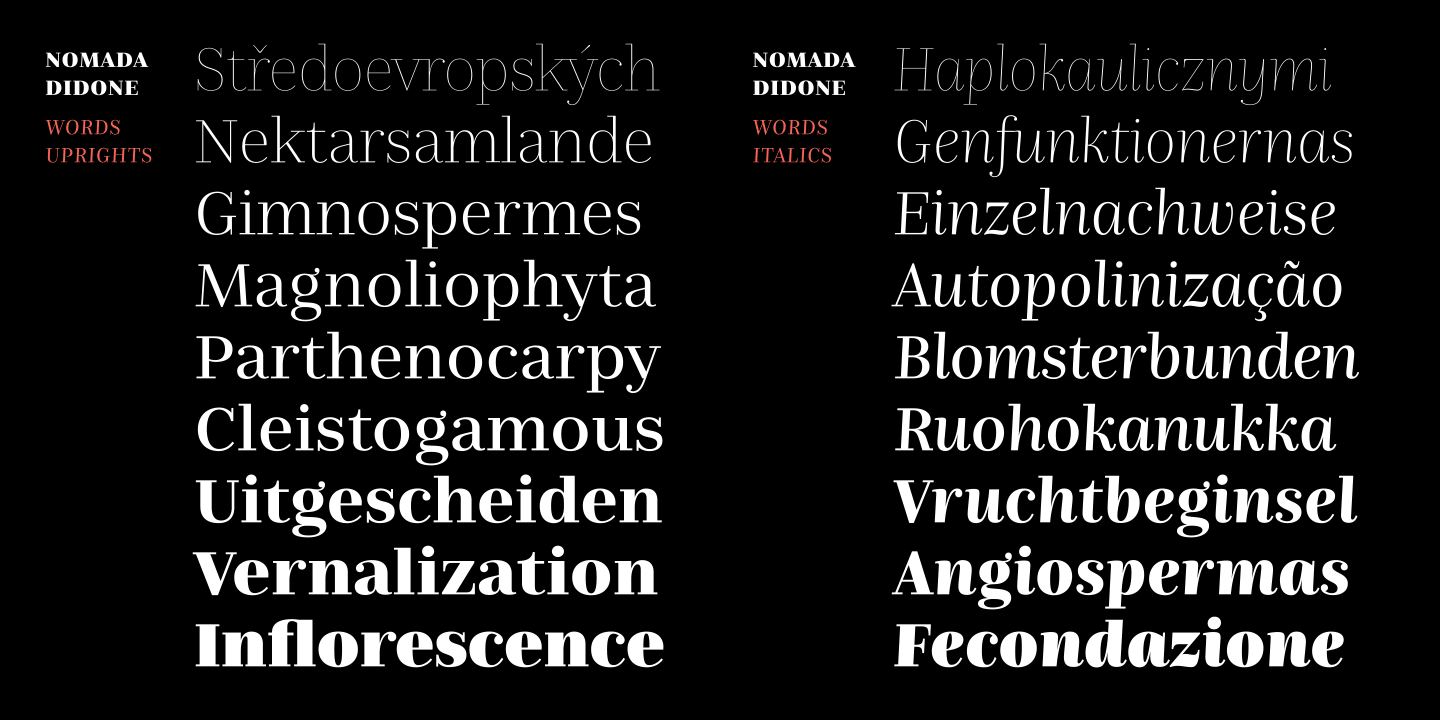 Nomada Didone Black Italic Font preview